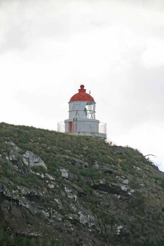 Nieuw-Zeeland 2011 - 1958